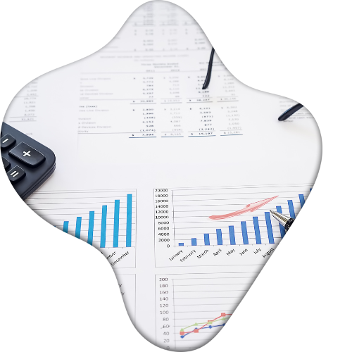 Economic Impact