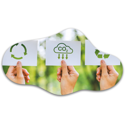 Sustainability